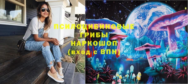 мяу мяу мука Баксан