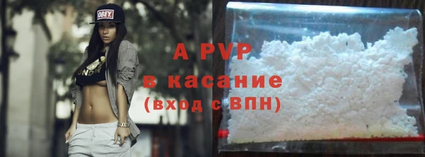 мяу мяу мука Баксан