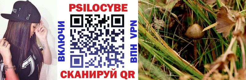 Галлюциногенные грибы GOLDEN TEACHER Горняк